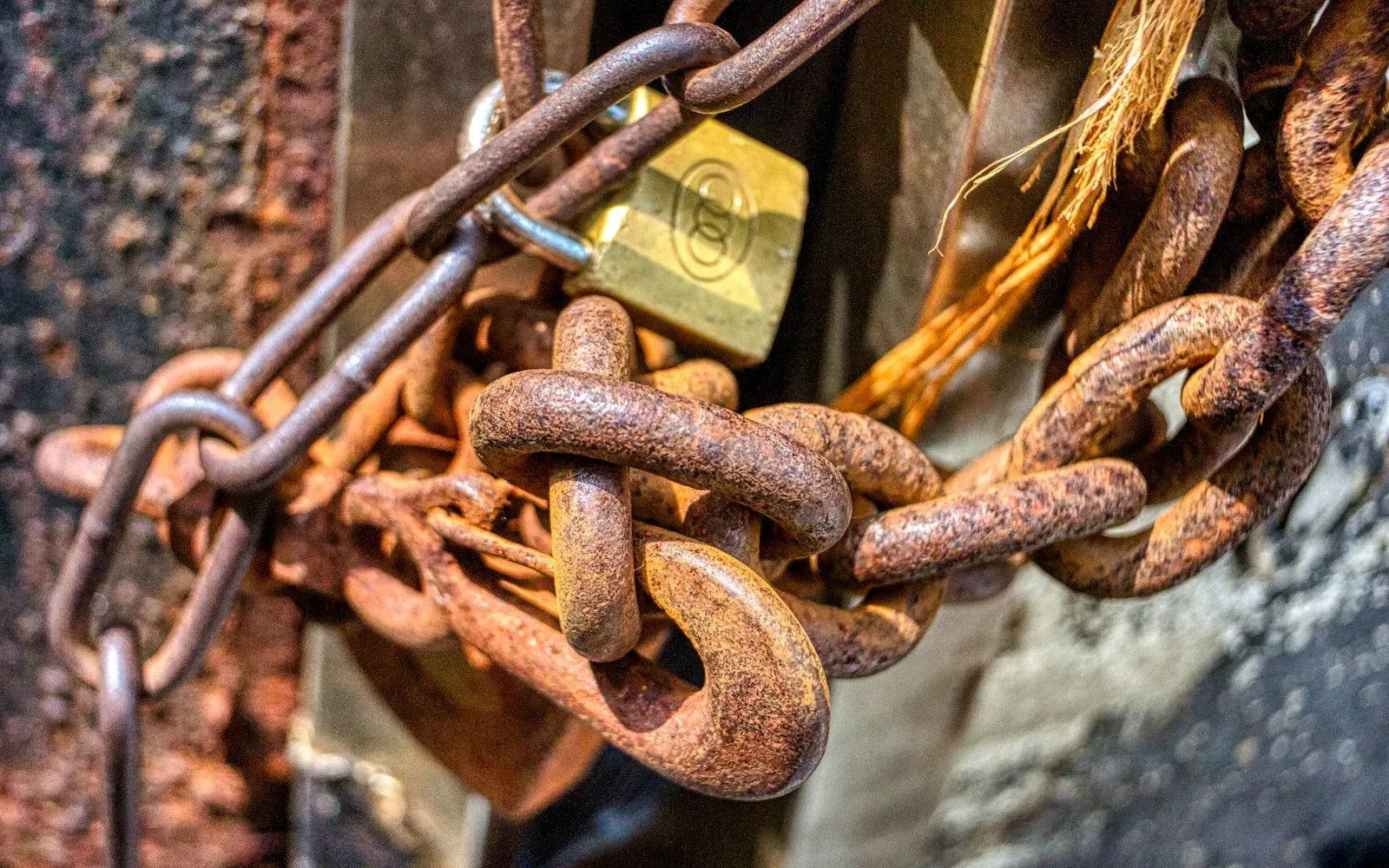 Rostige Kette mit Vorhängeschloss an einem Tor – Pimpbunny Erfahrungen, Leaks und Risiken